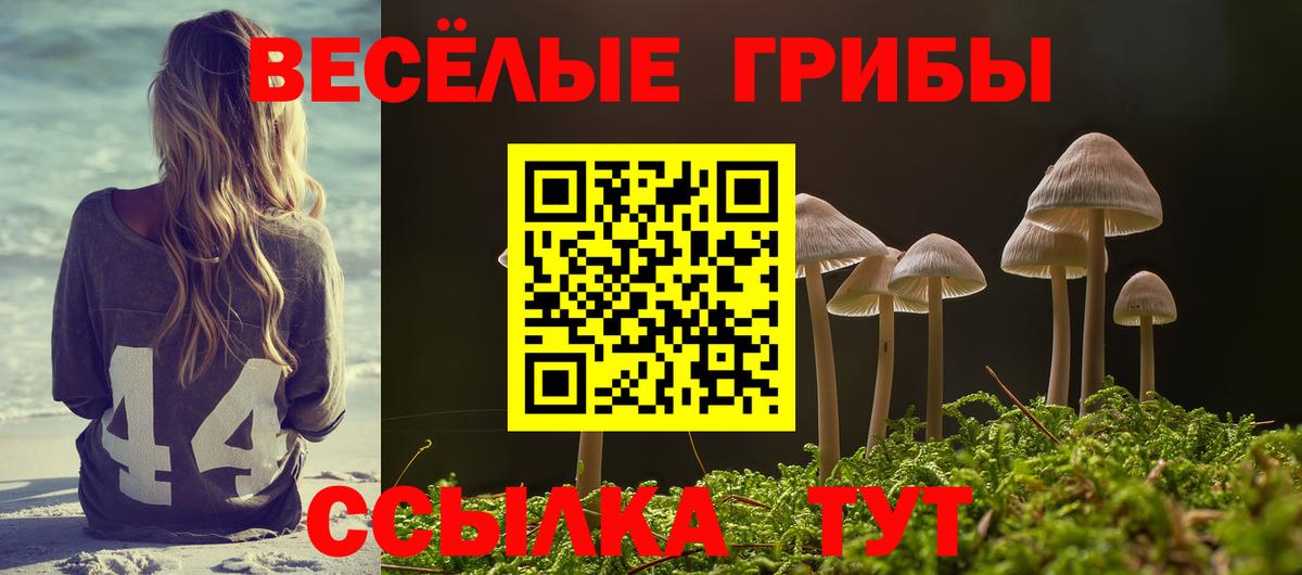 где купить наркоту  Вход с VPN  Барнаул  Галлюциногенные грибы Psilocybe 