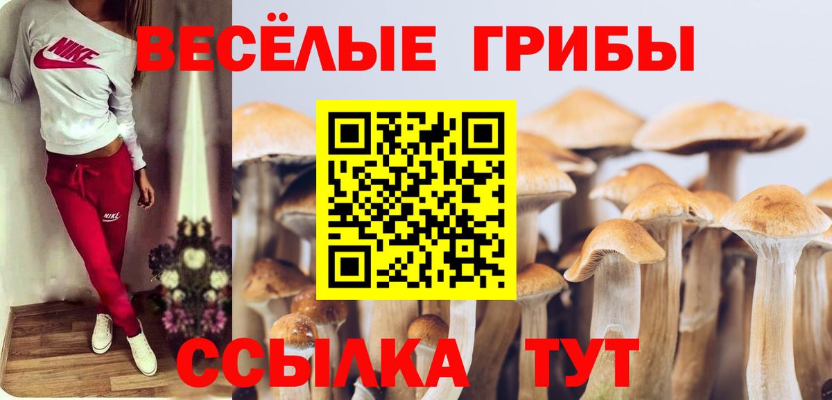 Псилоцибиновые грибы ЛСД Барнаул